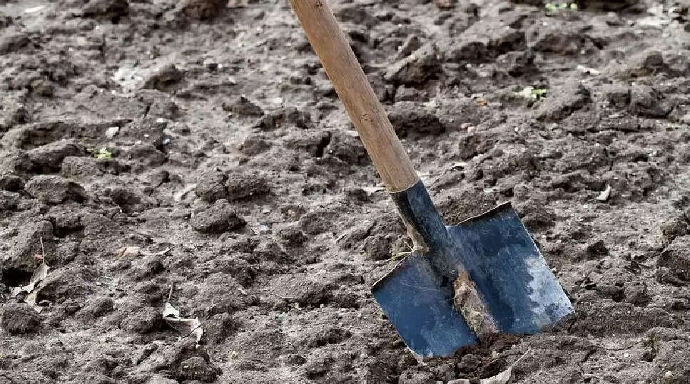 பெரும் அதிர்ச்சி! தாயால் உயிருடன் புதைக்கப்பட்ட சிறுமி!!