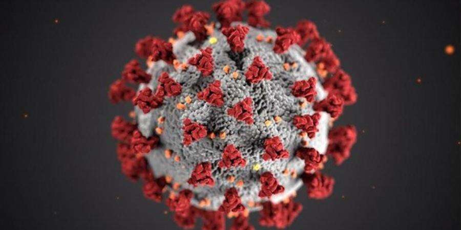 Coronavirus