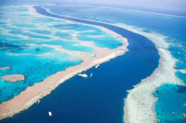 The Great Barrier Reef