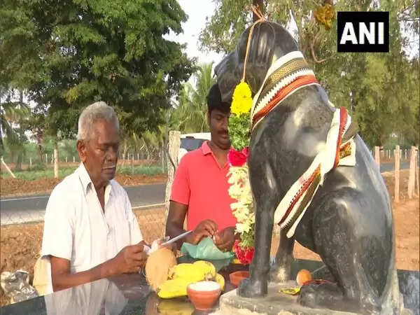 ரூ.80000 செலவில் நாய்க்கு சிலை.. நெகிழ வைத்த முதியவர்..! ரூ.80000 செலவில் நாய்க்கு சிலை.. நெகிழ வைத்த முதியவர்..!