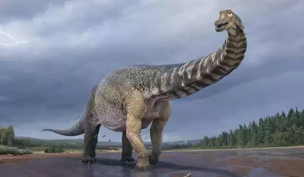 கூப்பர் !! உலகின் மிகப்பெரிய டைனோசர் இனம் ஆஸ்திரேலியாவில் !! விஞ்ஞானிகள் வியப்பு