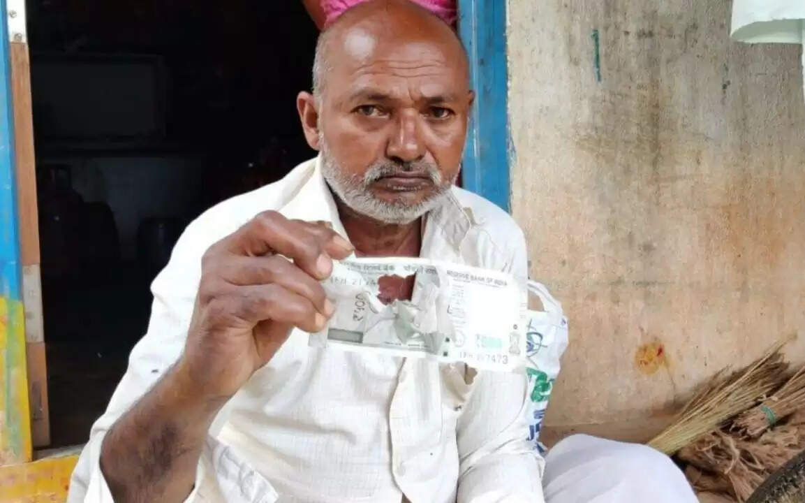 ஆபரேஷனுக்காக சேர்த்து வைத்த ரூ.2 லட்சத்தை கடித்துக் குதறிய எலிகள்..!