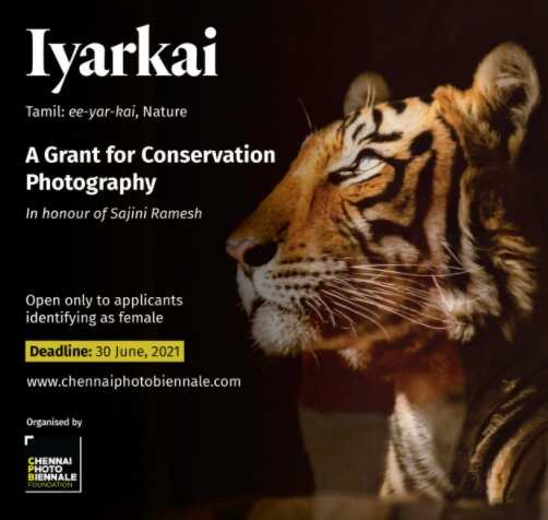 இளம் புகைப்பட கலைஞர்களுக்கு வாய்ப்பு.. வனப்பாதுகாப்பு தீம் புகைப்பட போட்டி !!