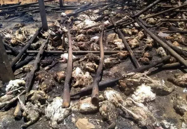 fire