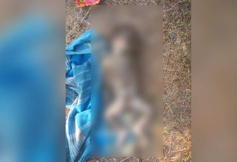 முட்புதரில் பிறந்து சில மணி நேரங்களே ஆன பச்சிளம் பெண் குழந்தை..!!