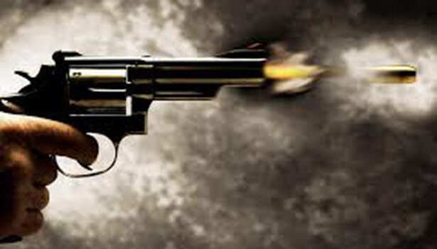 Gun
