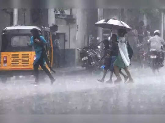 rain