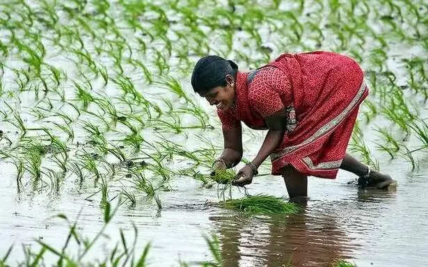 அரசு அறிவிப்பு… கொரோனாவால் உயிரிழந்த விவசாயிகளின் கடன் தள்ளுபடி..!