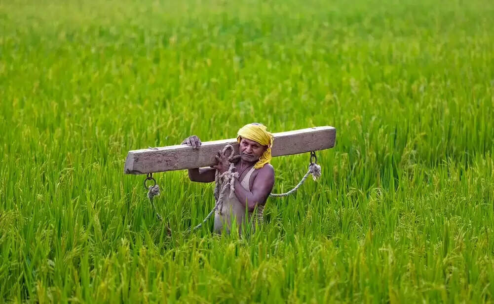 farmers1