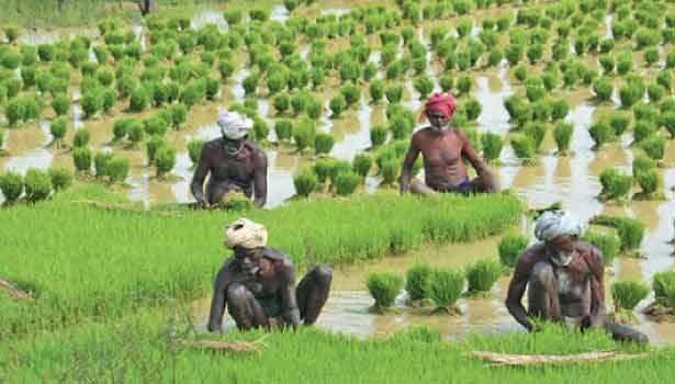 விவசாயிகளுக்கு ரூ.2 லட்சம் பரிசு.. விண்ணப்பிக்க இன்னும் 6 நாள் தான் இருக்கு..! விவசாயிகளுக்கு ரூ.2 லட்சம் பரிசு.. விண்ணப்பிக்க இன்னும் 6 நாள் தான் இருக்கு..!