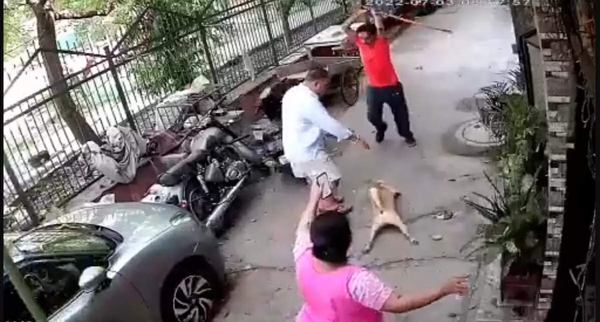 நாய் குரைத்ததால் உரிமையாளர் மீது இரும்பு கம்பியால் கொடூர தாக்குதல்!! VIDEO