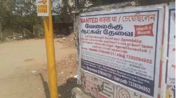 north job