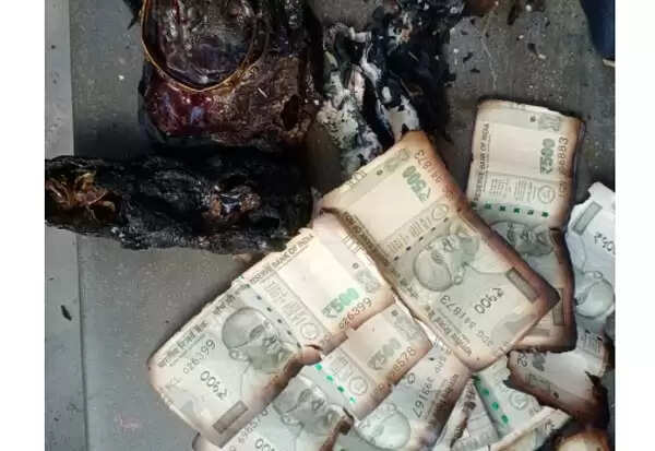 சோலார் ஏற்படுத்திய சோகம்.. சேலம் அருகே ரூ.10 லட்சம் மதிப்பிலான பொருட்கள் சேதம்..!