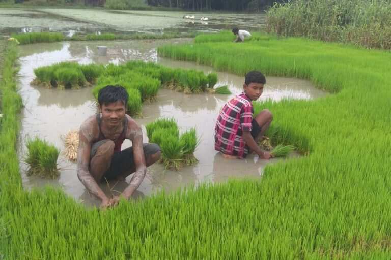 farmers