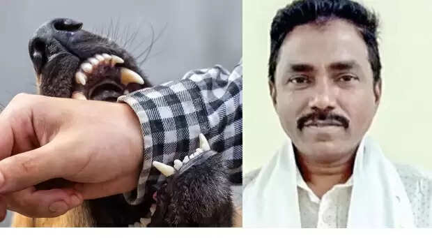 அட கடவுளே.. வாக்குசேகரித்த வேட்பாளரை கடித்த தெருநாய் !