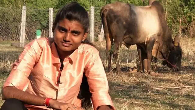 அசத்தல்! ஜல்லிக்கட்டில் சாதித்து காட்டிய சிறுமி!!