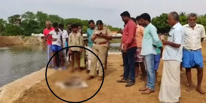 அடக்கொடுமையே..!! ஆற்றில் வீசப்பட்ட தொப்புள் கொடி கூட அறுக்கப்படாத பச்சிளம் குழந்தை..!!