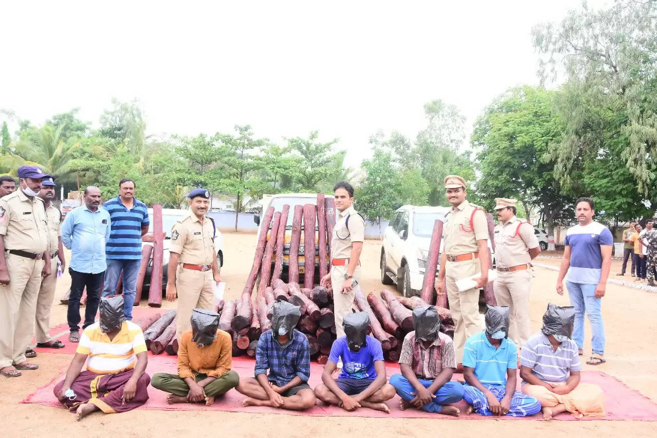 ரூ. 3 கோடி மதிப்புள்ள செம்மர கட்டை கடத்தல்…!! தமிழ்நாட்டை சேர்ந்த 7 பேர் கைது!!