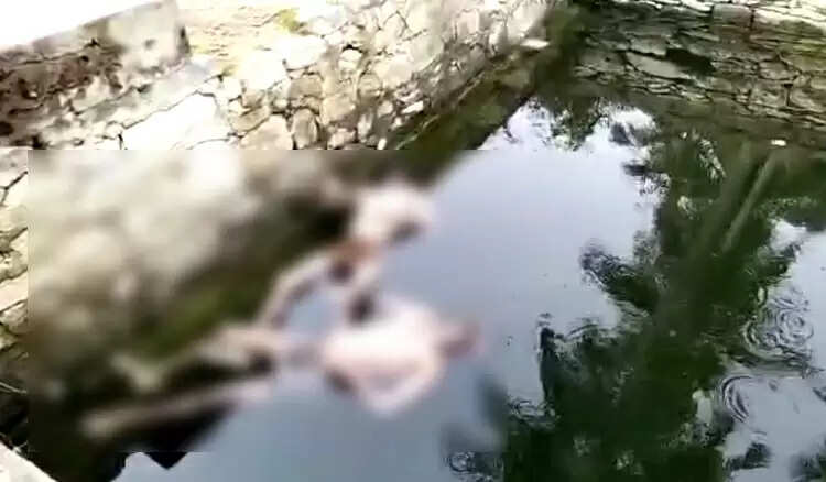 விவசாய கிணற்றில் மிதந்த 2 உடல்கள்.. மீட்ட போலீசார் தீவிர விசாரணை..!