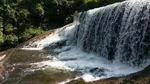 வனப்பகுதியில் கனமழை.. சுற்றுலாப் பயணிகளுக்கு தடை..!