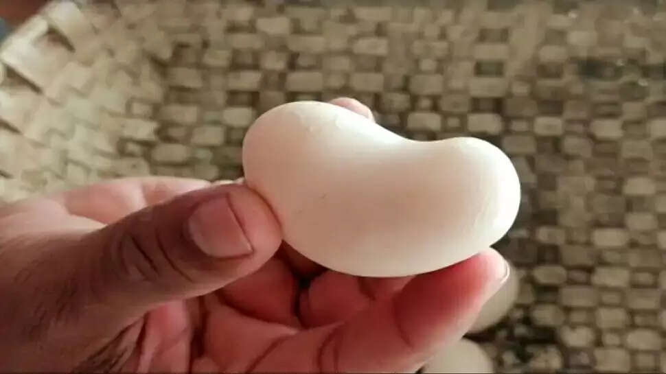 முந்திரி வடிவில் முட்டை.. வைரலாகும் புகைப்படம்..!