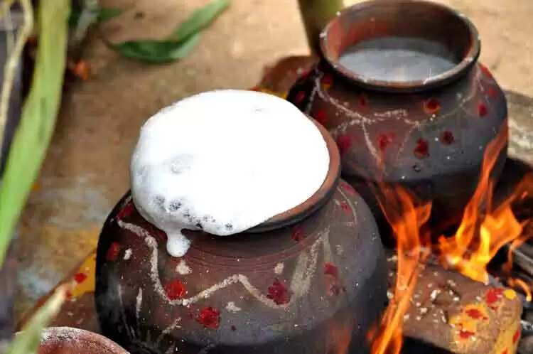 போகியும் பொங்கலும் எப்போது கொண்டாடலாம்..?: காஞ்சி சங்கர மடம் தகவல்..! போகியும் பொங்கலும் எப்போது கொண்டாடலாம்..?: காஞ்சி சங்கர மடம் தகவல்..!