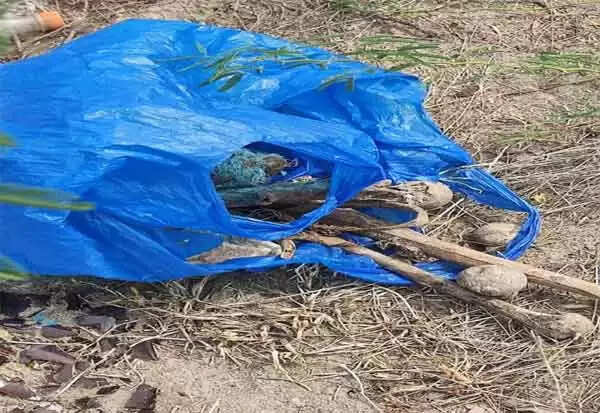 சாக்கு மூட்டையில் மனித எலும்புக் கூடுகள்.. அதிர்ச்சியில் காங்கேயம் மக்கள்..!