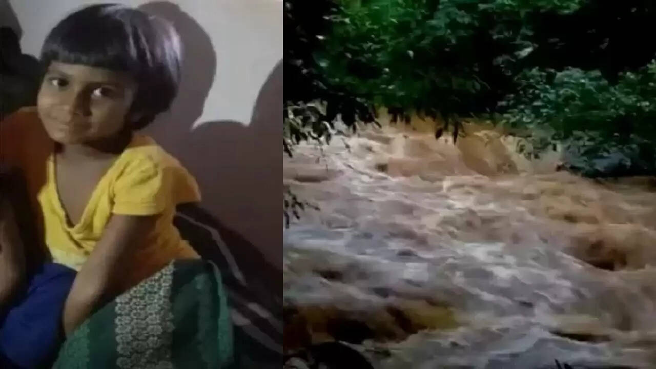 கால்களை கழுவ ஓடையில் இறங்கிய 6 வயது சிறுமிக்கு நேர்ந்த துயரம்..!!