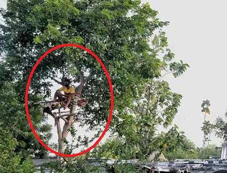 வீட்டில் இடமில்லை.. மருத்துவமனையில் பெட் இல்லை.. கொரோனா பாதித்த இளைஞர் எடுத்த அதிரடி முடிவு !!