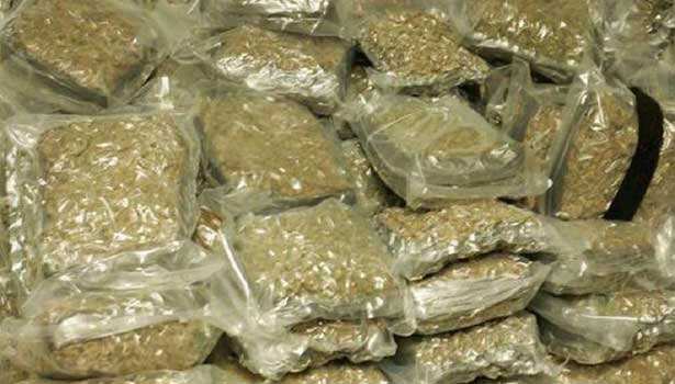 முதலமைச்சருக்கு கஞ்சா பழக்கம் உள்ளது.. எம்எல்ஏ குற்றச்சாட்டால் பரபரப்பு !!