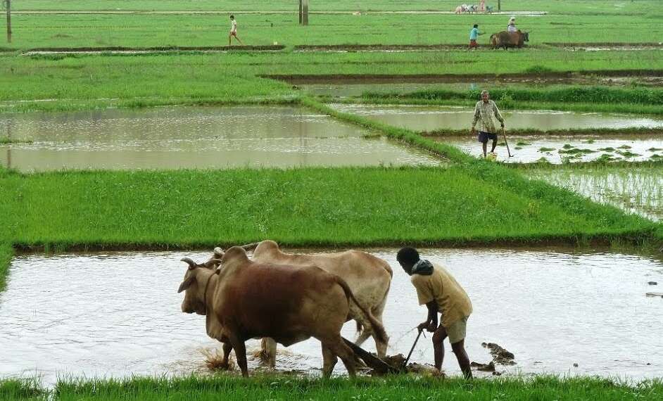 விவசாயிகளுக்கு அடுத்த தவணையாக ரூ.19,500 கோடி.. பிரதமர் மோடி வழங்குகிறார் !!