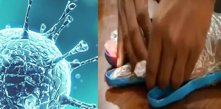 இந்தியாவில் உருவான புதிய வைரஸ் ஆபத்தானதா? தொடரும் ஆய்வுகள்!