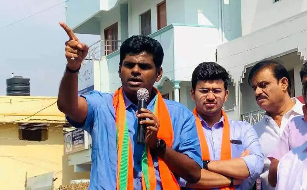 சென்னை திமுகவின் கோட்டை.. பாஜக போடுது அதுல ஓட்டை.. பிரச்சாரத்தில் அண்ணாமலை பேச்சு..!