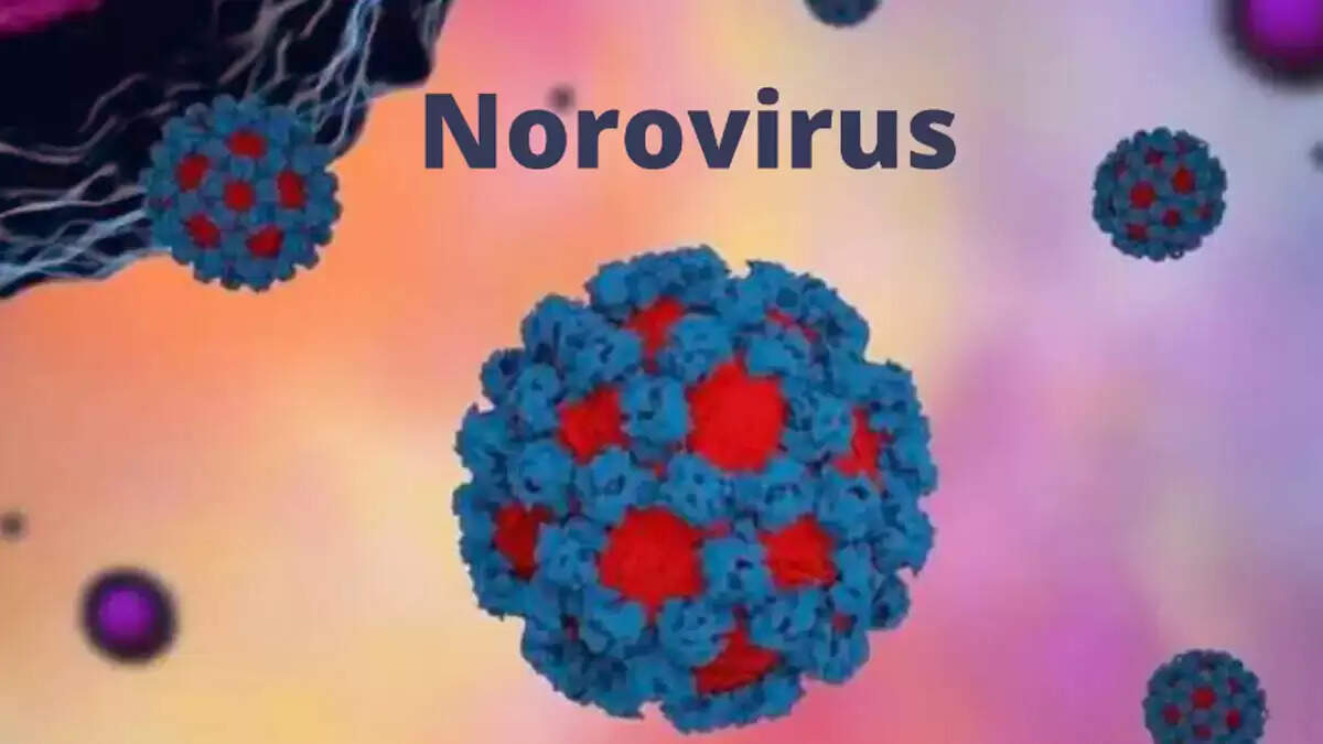 noro virus1