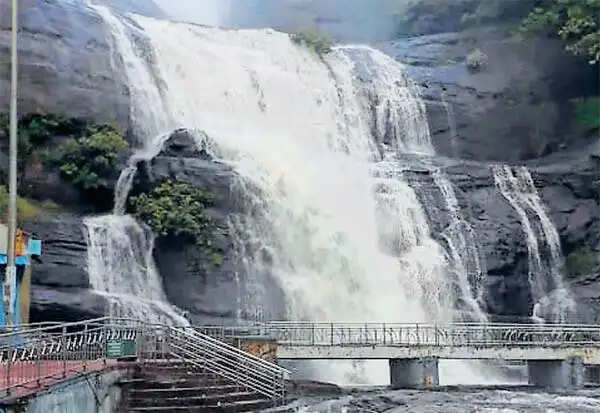 குற்றாலம் போகலாம்.. ஆனா, இது இருந்தால் மட்டுமே குளிக்க அனுமதி..! குற்றாலம் போகலாம்.. ஆனா, இது இருந்தால் மட்டுமே குளிக்க அனுமதி..!