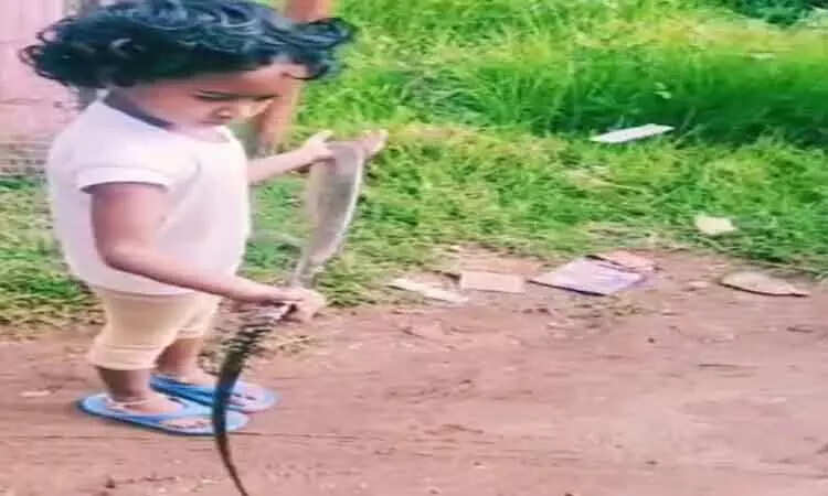 அக்கம் பக்கத்தினர்க்கு ஷாக் கொடுத்த 4 வயது சிறுமி..!!