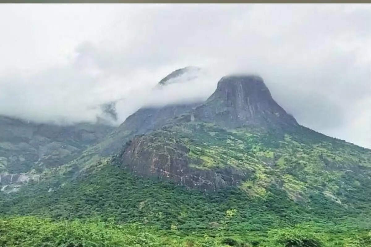 மீண்டும் பரபரப்பாகும் நியூட்ரினோ திட்டம்.. உச்ச நீதிமன்றத்தில் தமிழக அரசு திட்டவட்டம் !!