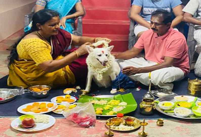 7 வகை சாப்பாடு.. 5 வகை இனிப்பு.. வளர்ப்பு நாய்க்கு வளைகாப்பு..!