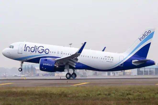 INDIGO