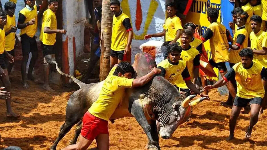 ஜல்லிக்கட்டு போட்டி நடத்த அனுமதி.. அரசாணை வெளியிட்டது தமிழக அரசு..!