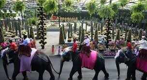 யானைகள் மீது பிரம்மாண்ட திருமணம்! என்னமா யோசிக்கறாங்கப்பா...!