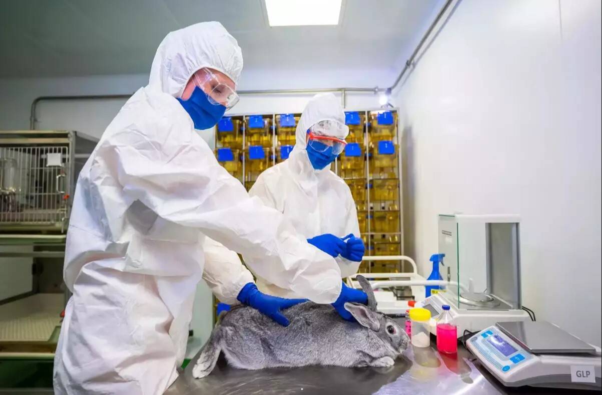 இனி விலங்குகளுக்கும் தடுப்பூசி!