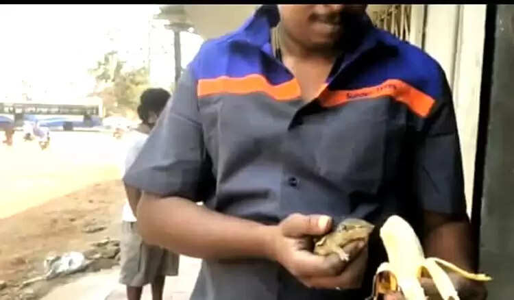 இளைஞரை இணைபிரியாத அணில்.. வியக்கவைக்கும் காதல் !!