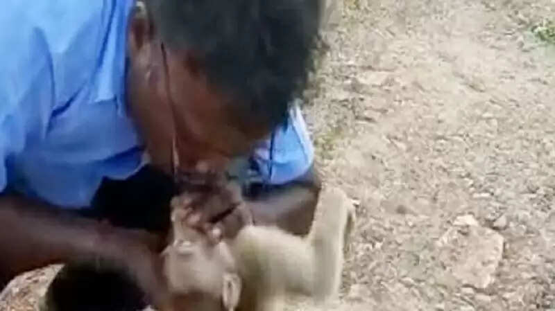 monkey 1