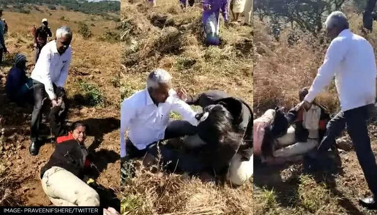 கர்ப்பமாக உள்ள வனத்துறை அதிகாரியை தரையில் தள்ளி கொடூர தாக்குதல்!! கர்ப்பமாக உள்ள வனத்துறை அதிகாரியை தரையில் தள்ளி கொடூர தாக்குதல்!!