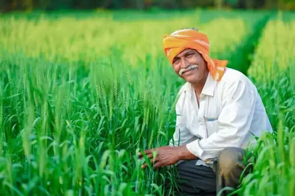 விவசாயிகளுக்கு 50% நிதியுதவி.. தமிழக அரசு அதிரடி அறிவிப்பு..!