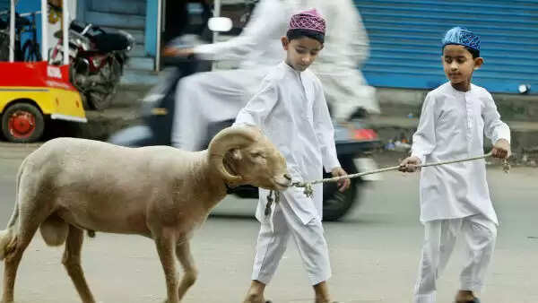 இப்படித்தான் பக்ரீத் கொண்டாடணும்.. வழிகாட்டு நெறிமுறை வெளியிட்டது அரசு..! இப்படித்தான் பக்ரீத் கொண்டாடணும்.. வழிகாட்டு நெறிமுறை வெளியிட்டது அரசு..!