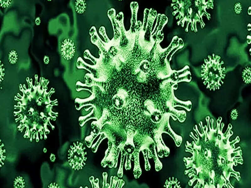 போச்சுடா!! கருப்பு, வெள்ளை, மஞ்சளைத் தொடர்ந்து பச்சை பூஞ்சை நோய் !! மருத்துவர்கள் அதிர்ச்சி