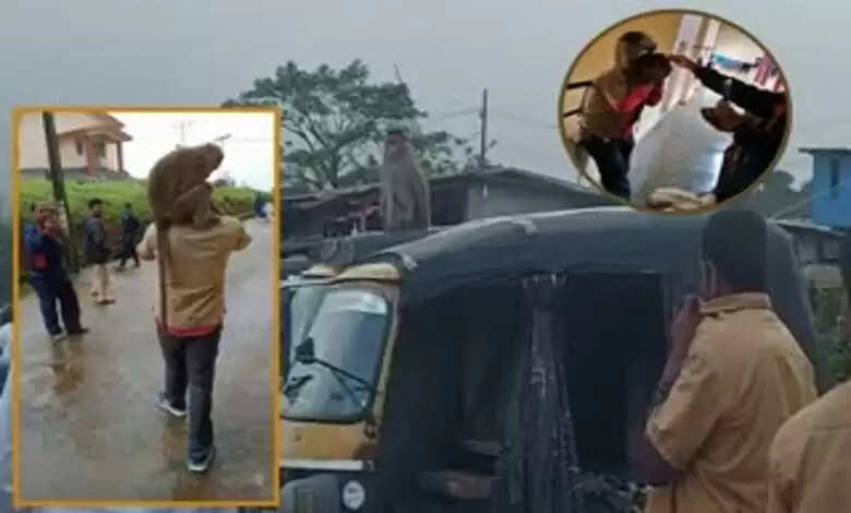 ஆட்டோ ஓட்டுனரை பழிவாங்க 22 கிலோ மீட்டர் பயணம் செய்த குரங்கு..!