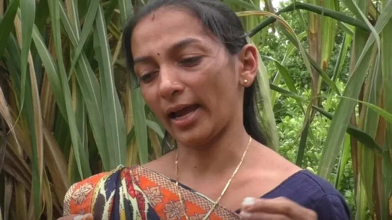 தன் மருமகளின் மறுமணத்துக்காக இன்னொரு மகனை தத்தெடுத்த மாமியார்..!!